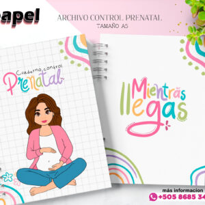 Agenda Control Prenatal