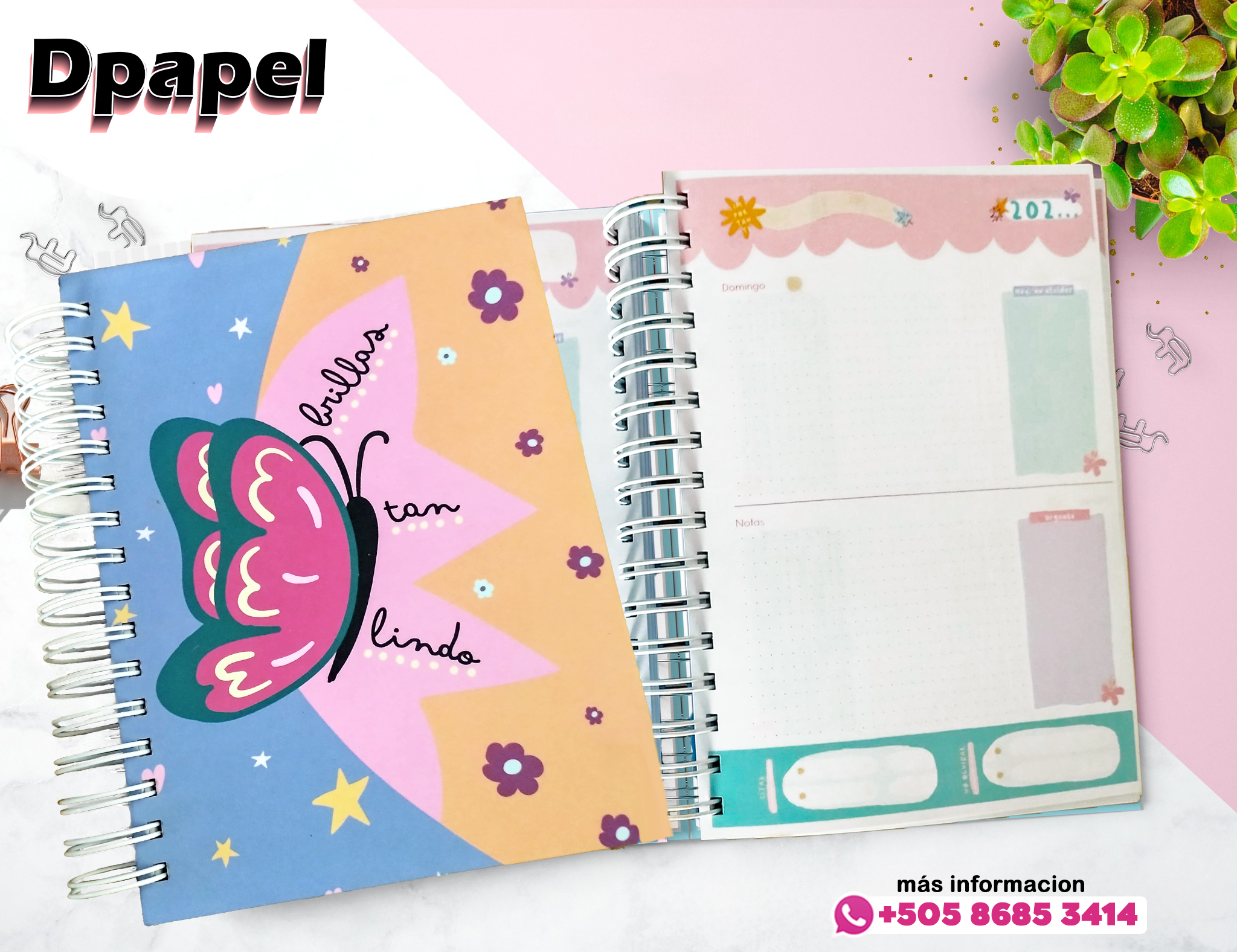 Agenda Brillas Tan Lindo