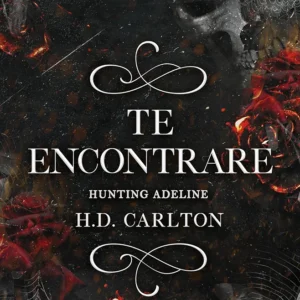 Te encontrare
